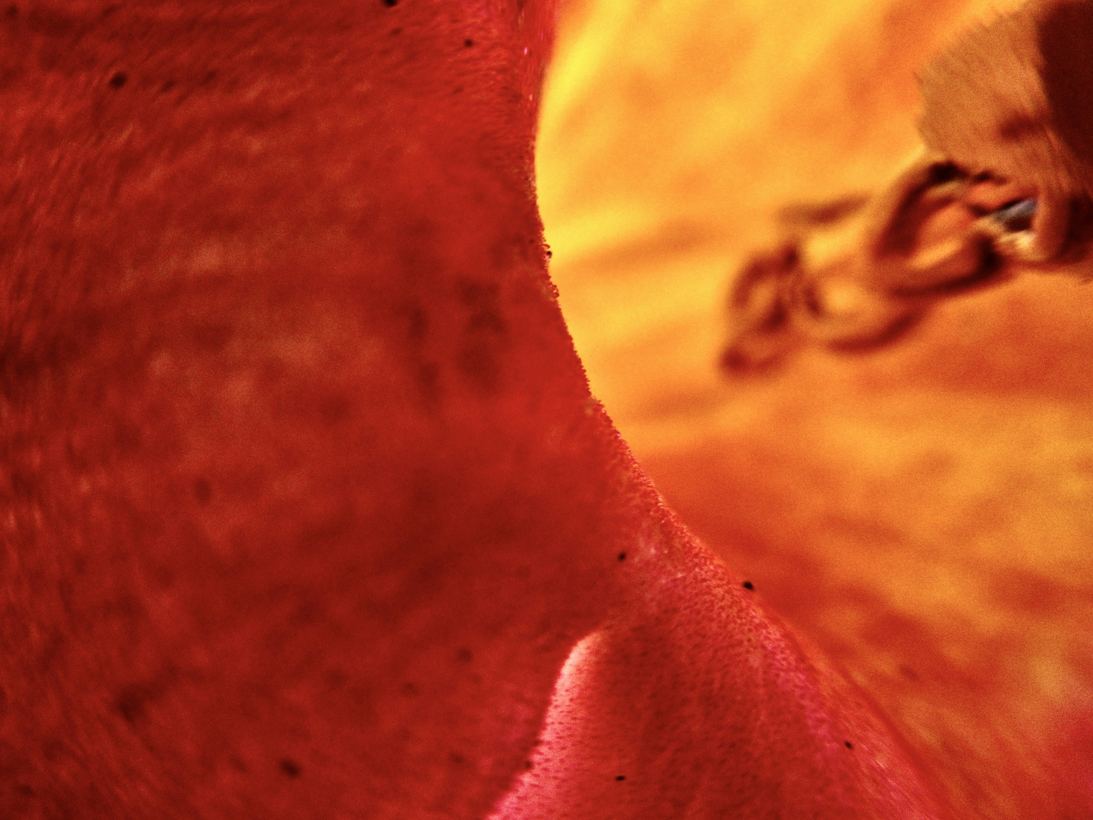 Photo by troutontheline