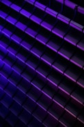 purple and black brick wall