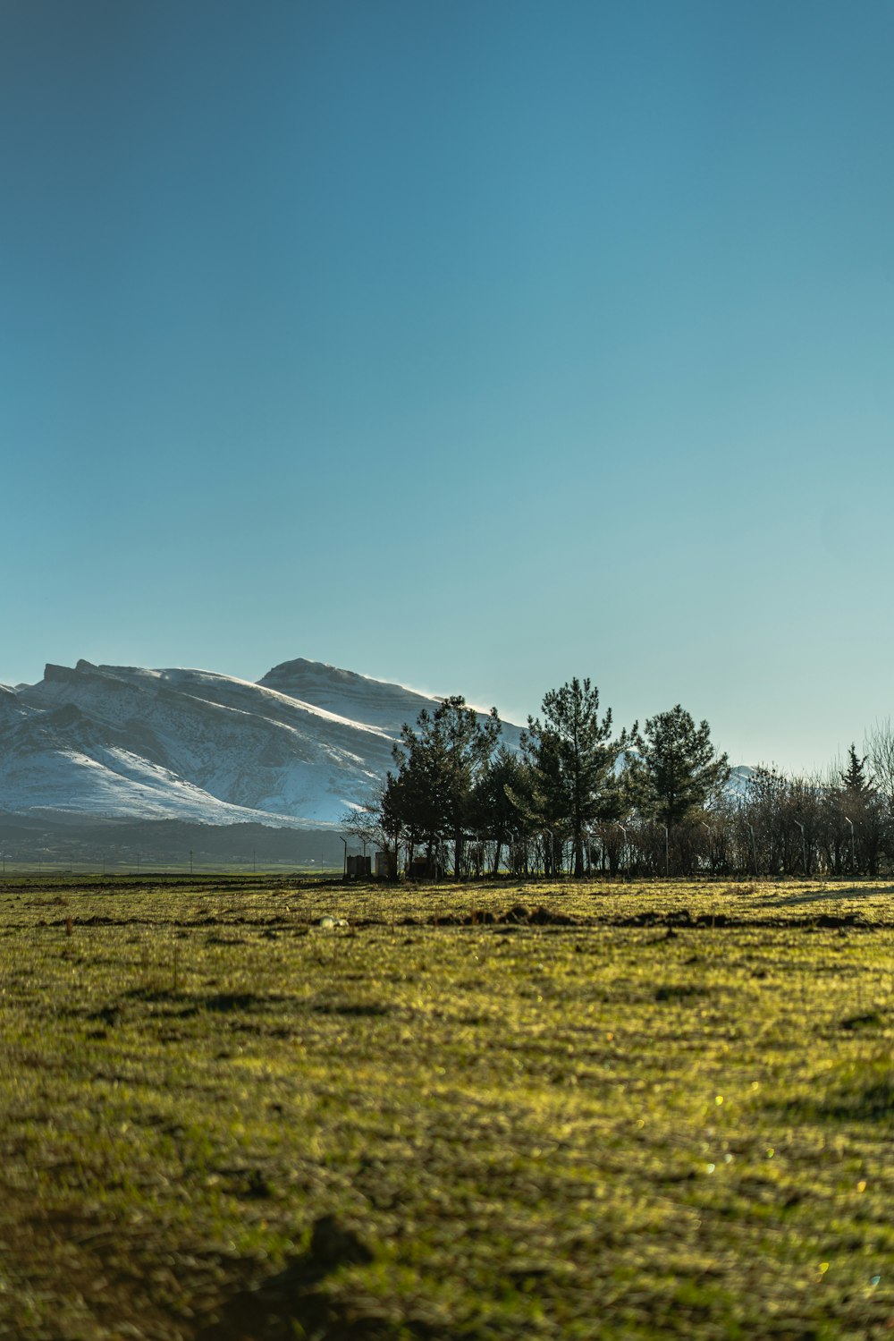 green grass field near body of water and mountain during daytime