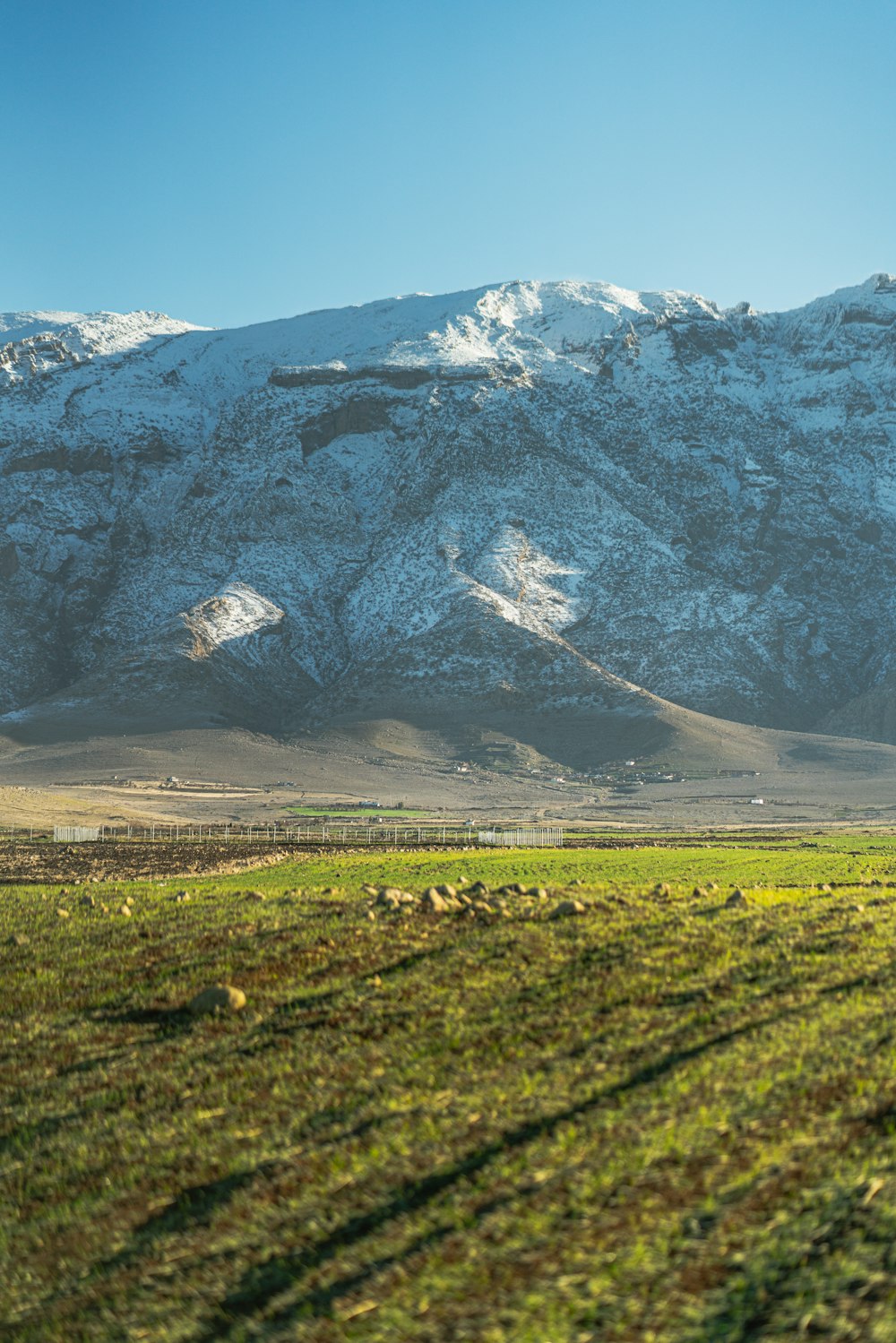 green grass field near snow covered mountain during daytime