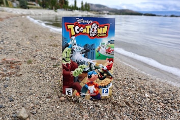 A video game box for Disney's Toontown Online is standing upright on a sandy beach with a calm lake and distant mountains in the background. The box features colorful cartoon characters and a playful design.