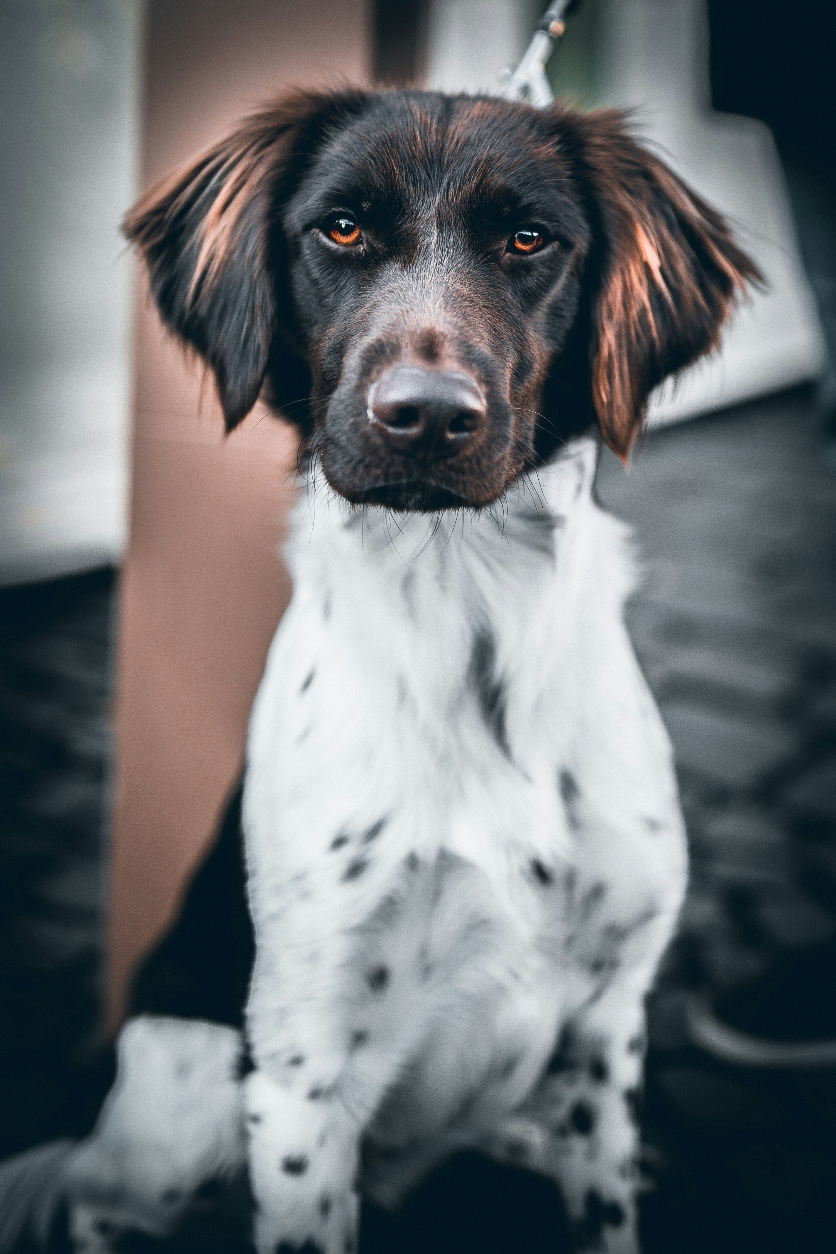 Photo by slohmann