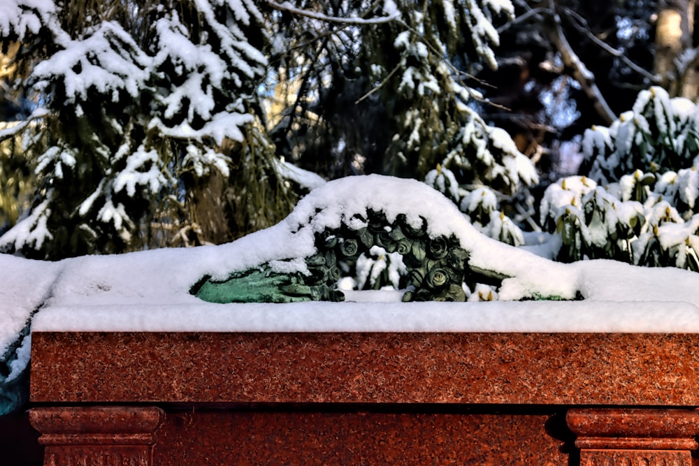 white snow on brown concrete wall