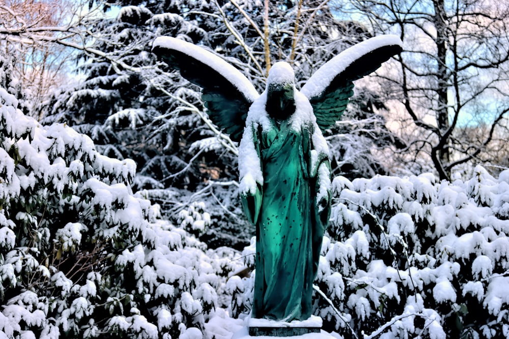 green bird on tree branch covered with snow