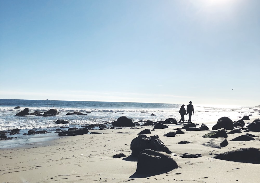 people sitting on beach shore during daytime