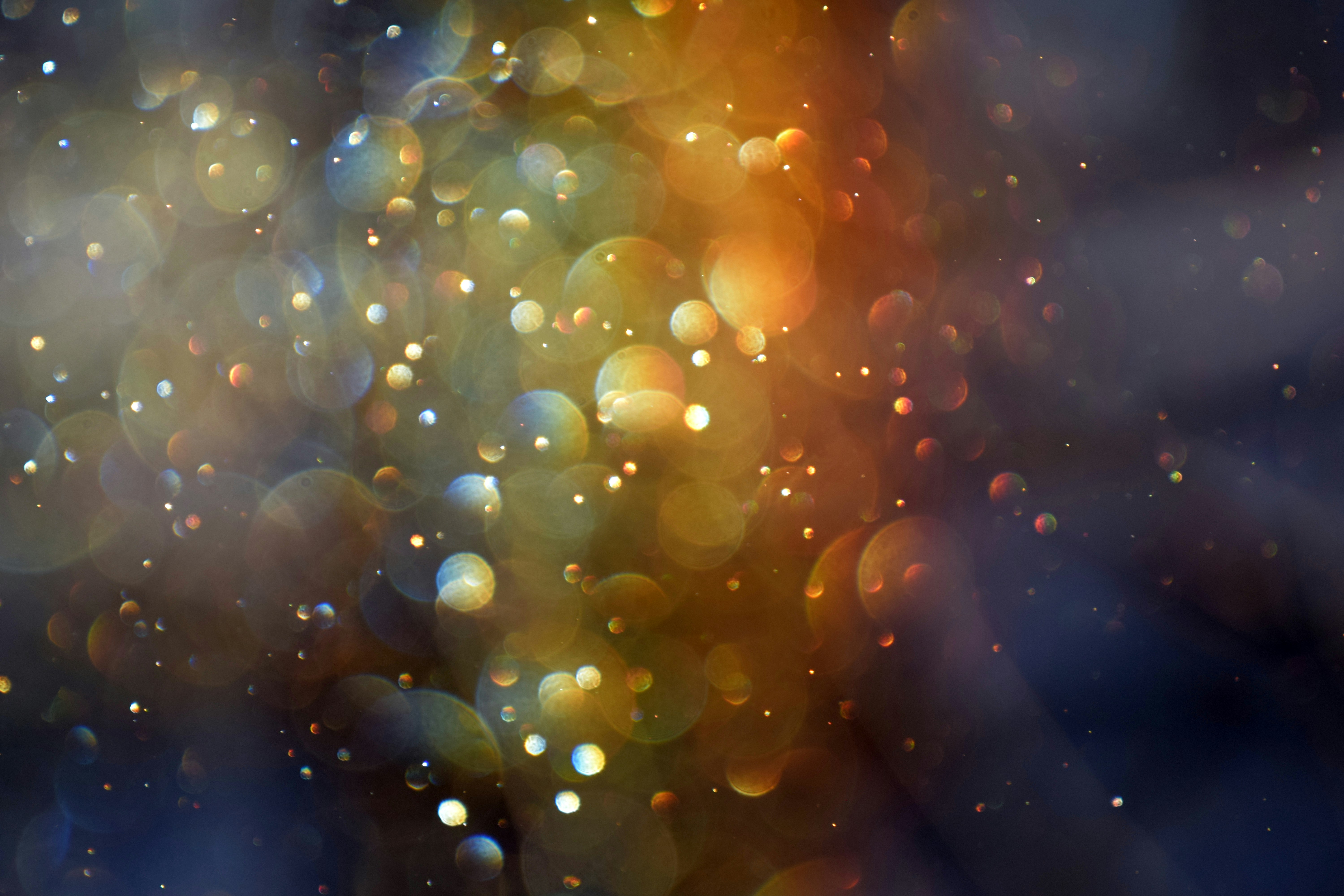 The Monsoon Economy: How Weather Patterns Built Indian Ocean Trade