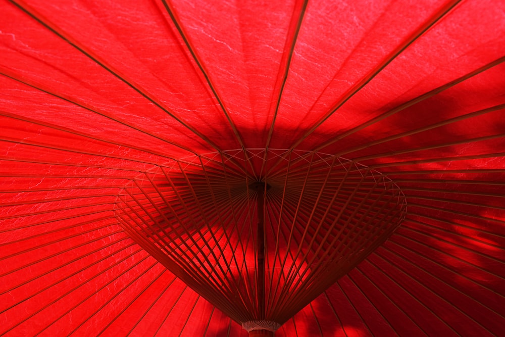red umbrella in close up photography