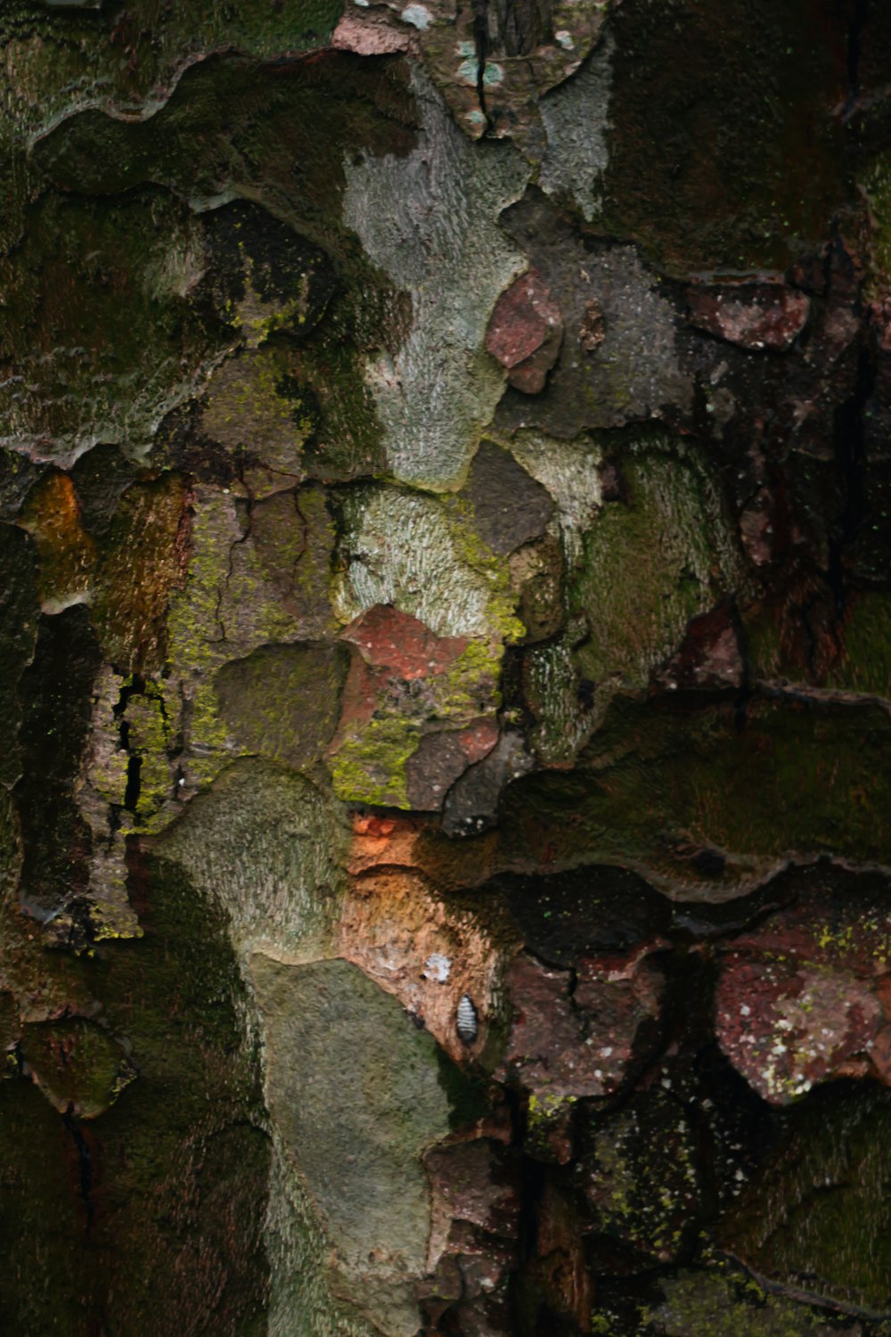 Fragmento de piedra verde y marrón