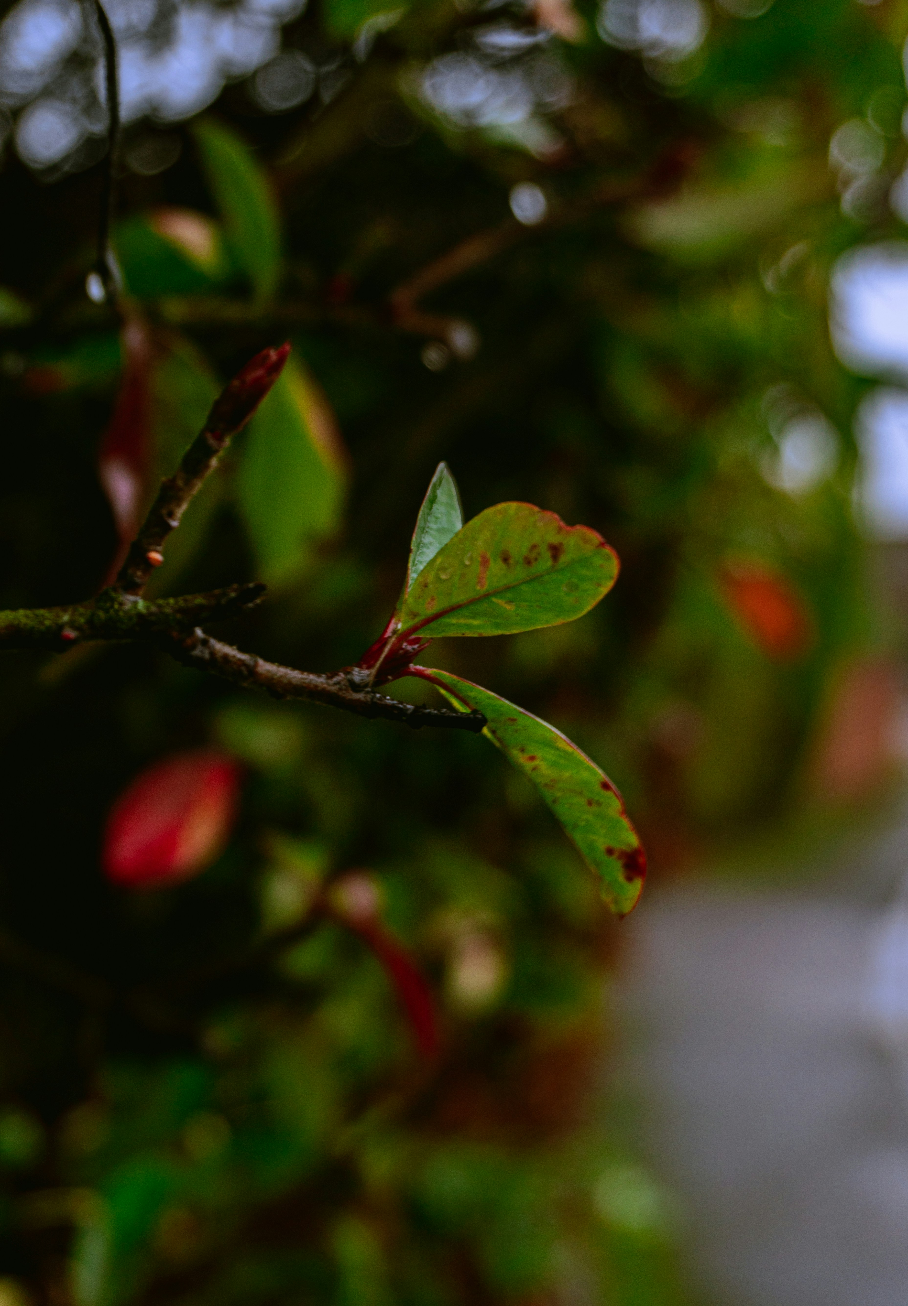 Photo by jacklucassmith