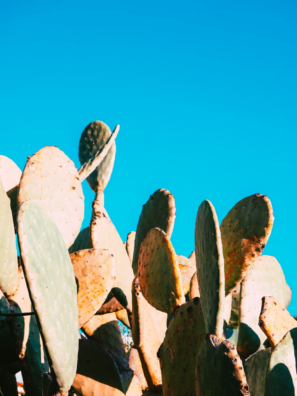 brown and white rocks under blue sky during daytime