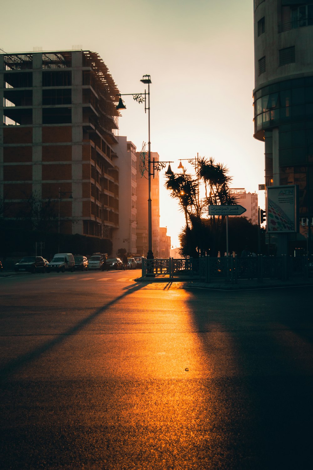 cars parked on side of road near high rise building during sunset