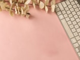 A minimalist composition featuring a section of a computer keyboard on the right and a branch with beige dried leaves on the left, set against a soft pink background.