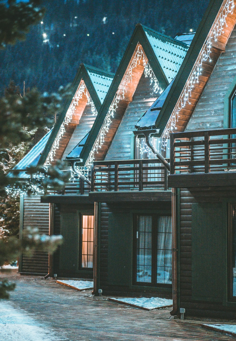 casa di legno marrone vicino agli alberi verdi durante la notte