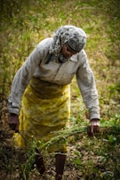An elderly person is working outdoors, wearing a headscarf and glasses. They are bent over, holding plants in their hands with greenery around. The person is dressed in a yellow skirt and a long-sleeved top, engaged in agricultural or garden work.