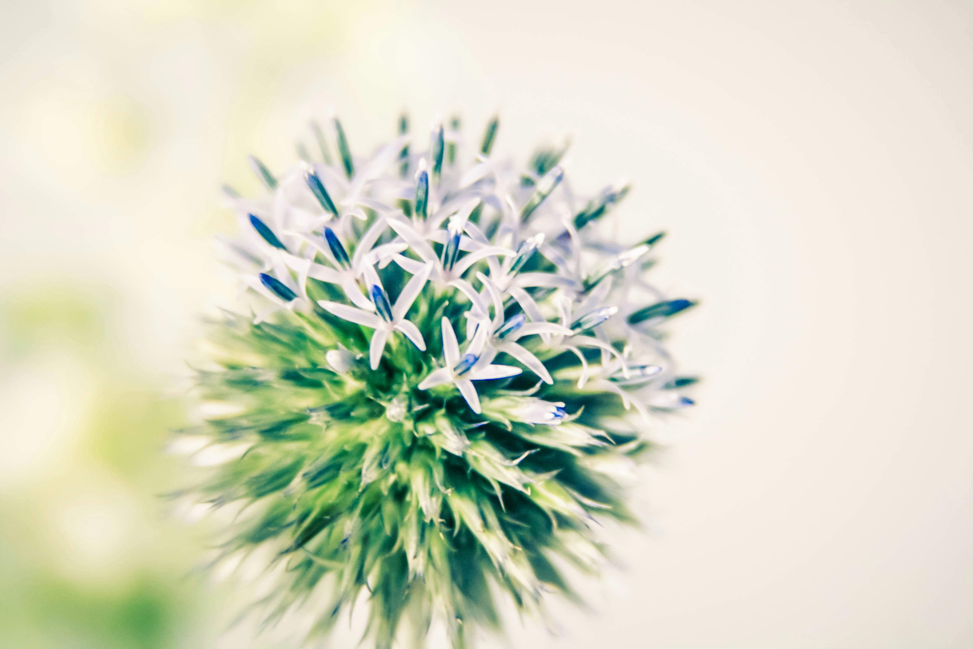 Photo by thestarryme