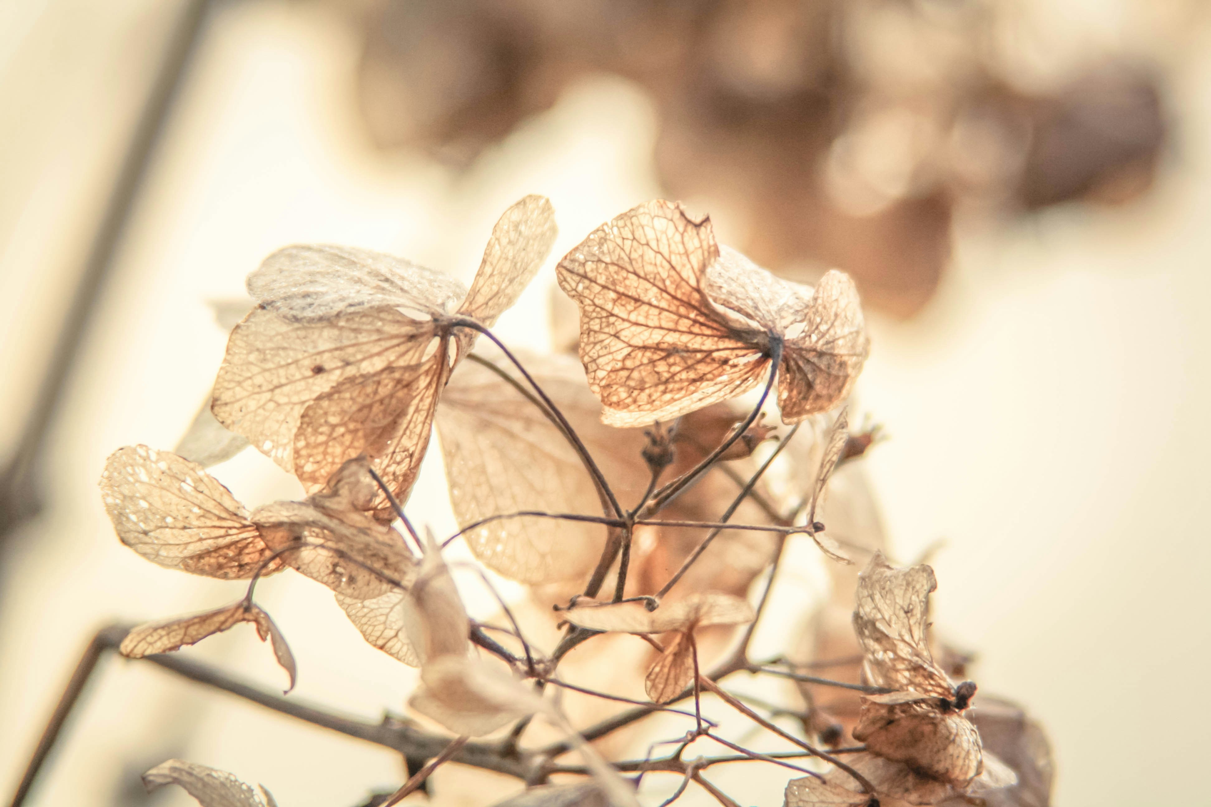 Photo by thestarryme