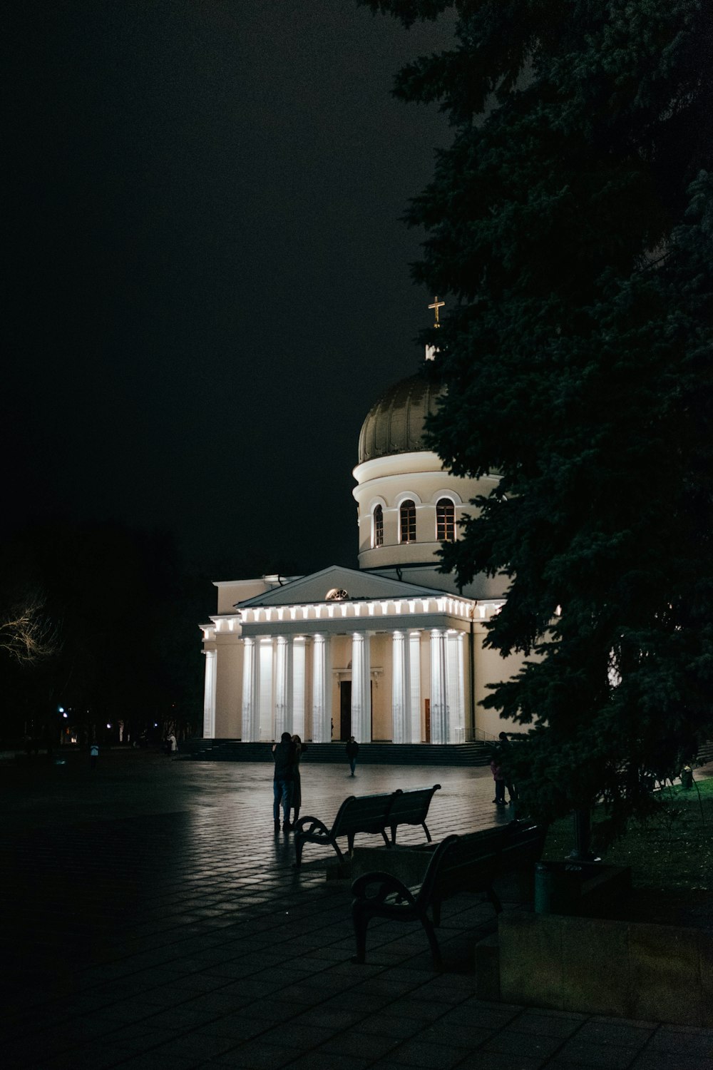 white concrete building near green trees during night time