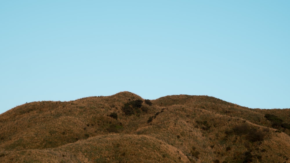 brown mountain under blue sky during daytime