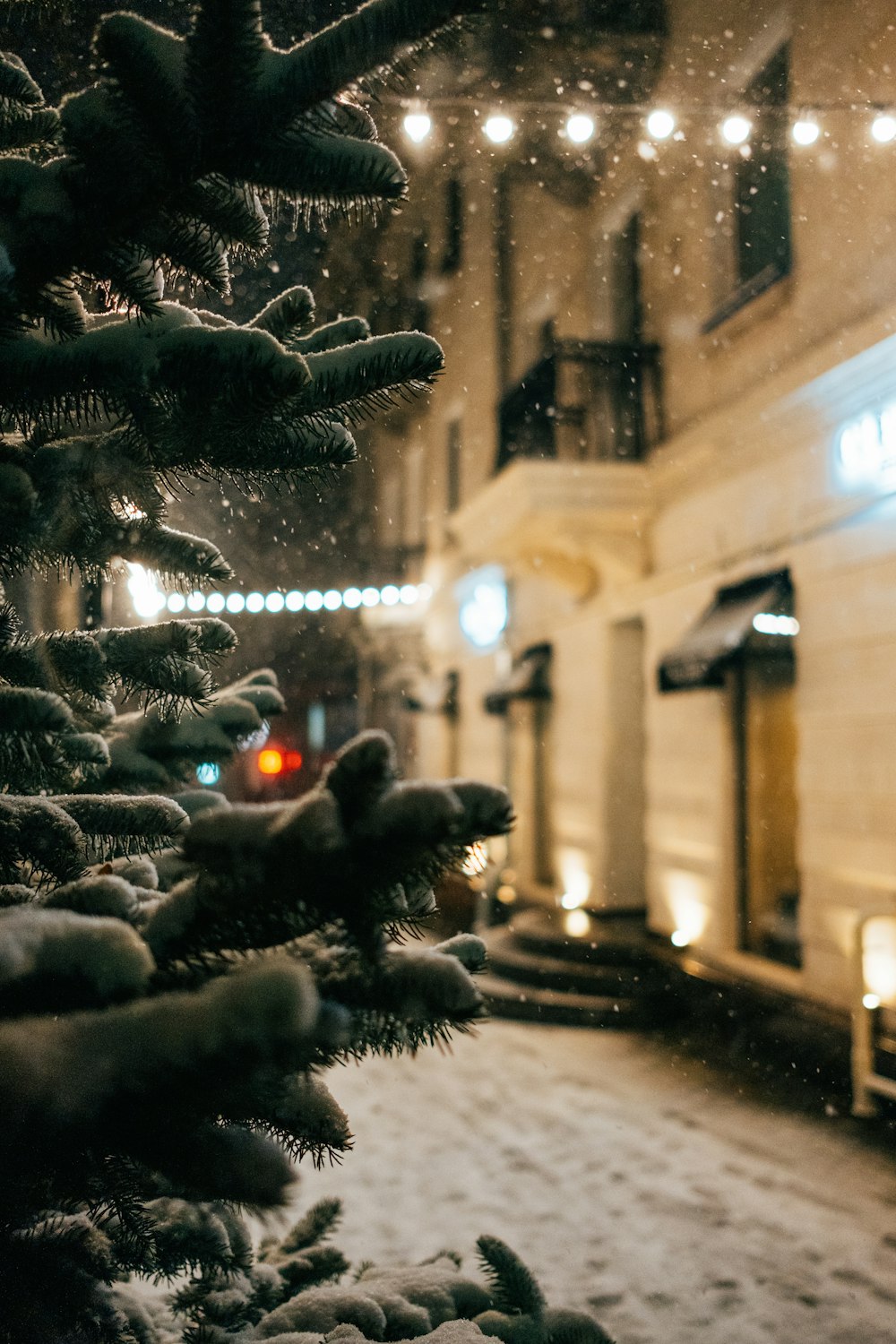 green pine tree covered with snow