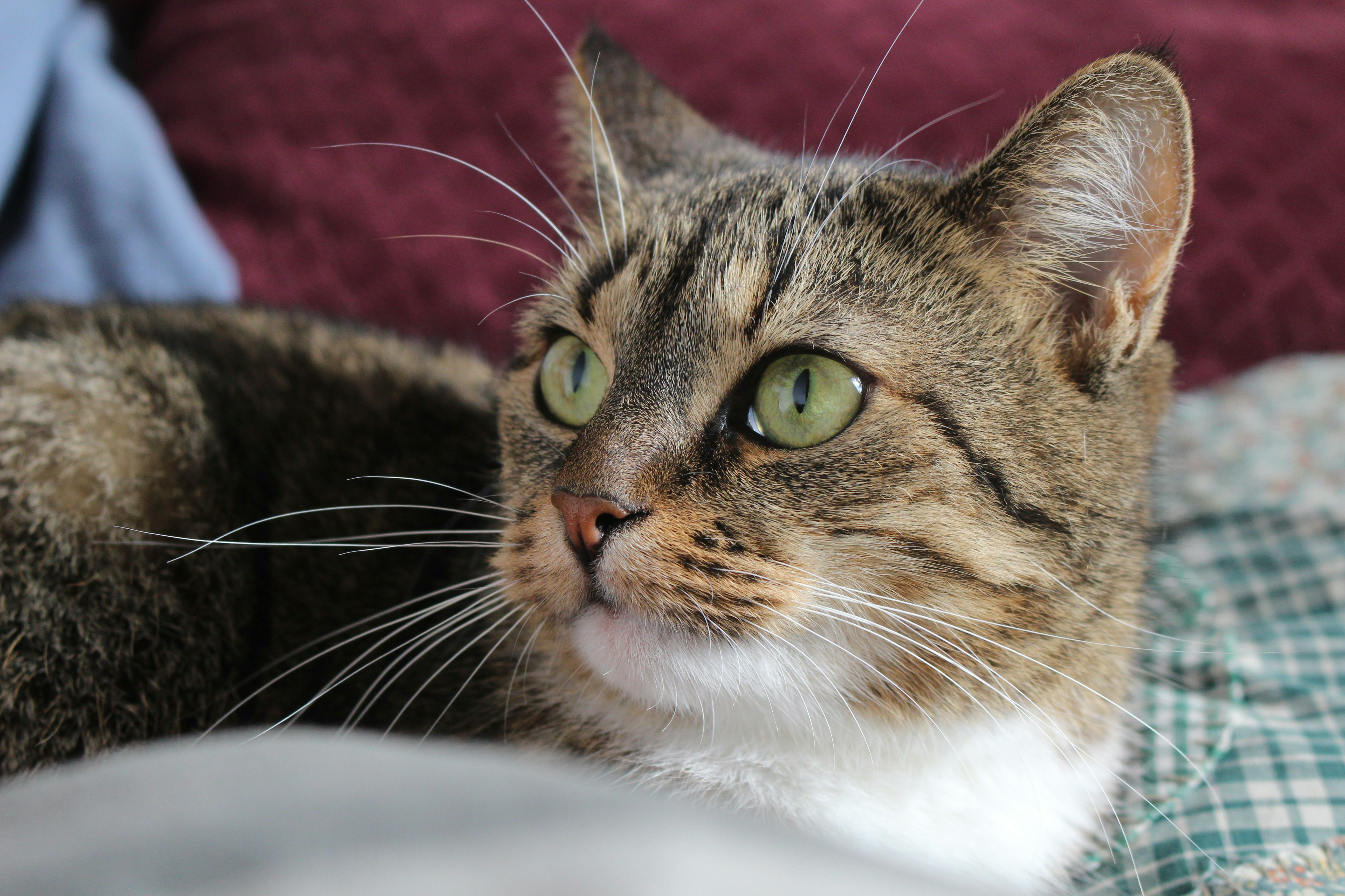 Photo by marjorylucabaxter