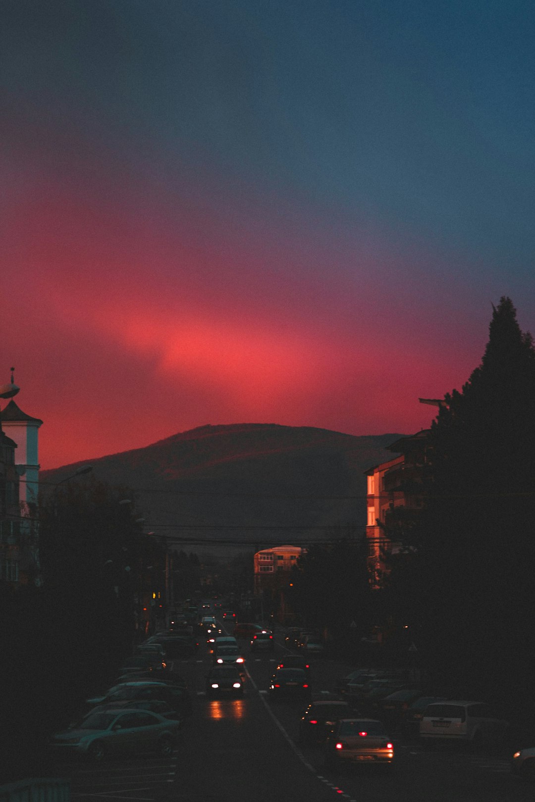 silhouette of trees and buildings during sunset