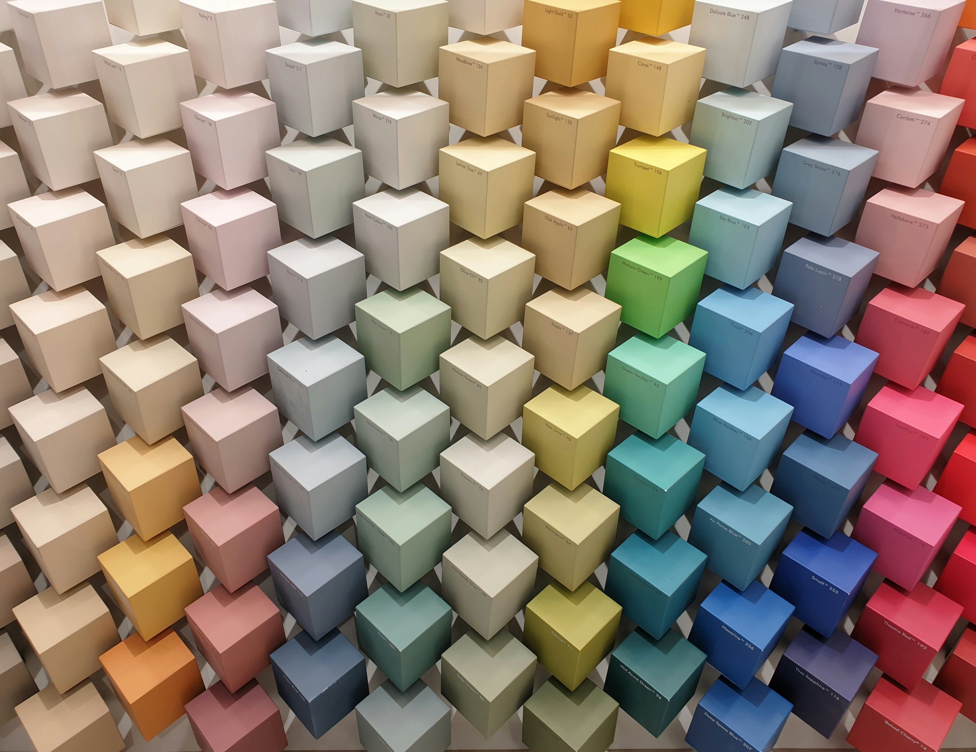 Photo by illiakholin