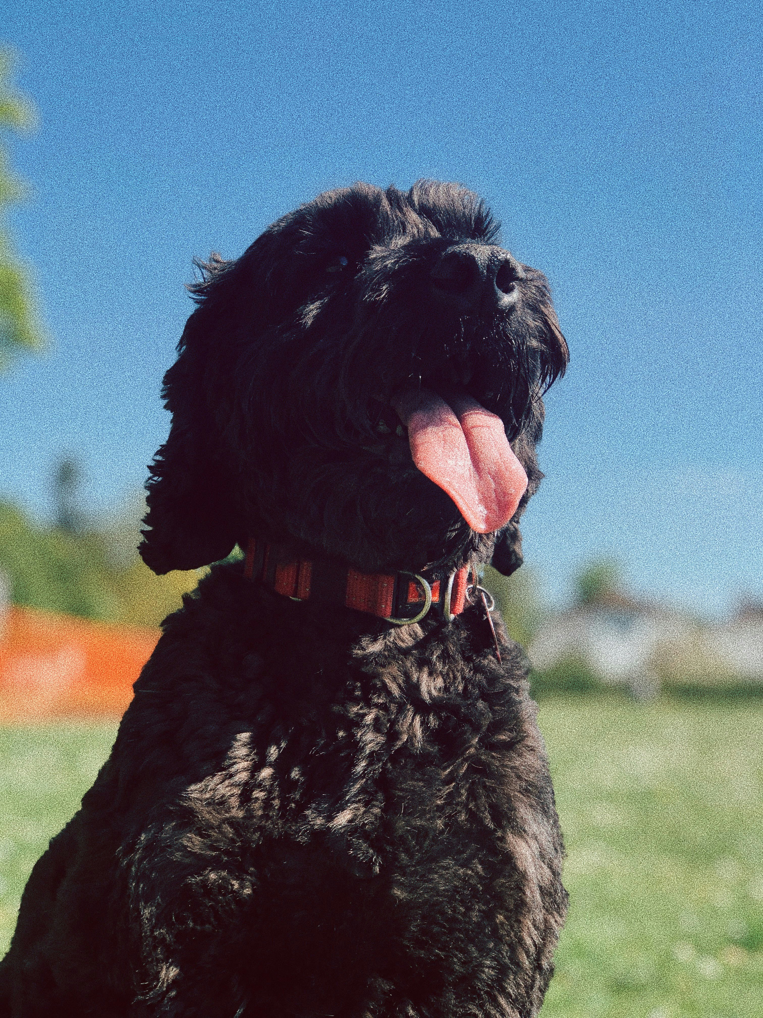 Photo by syddavidson