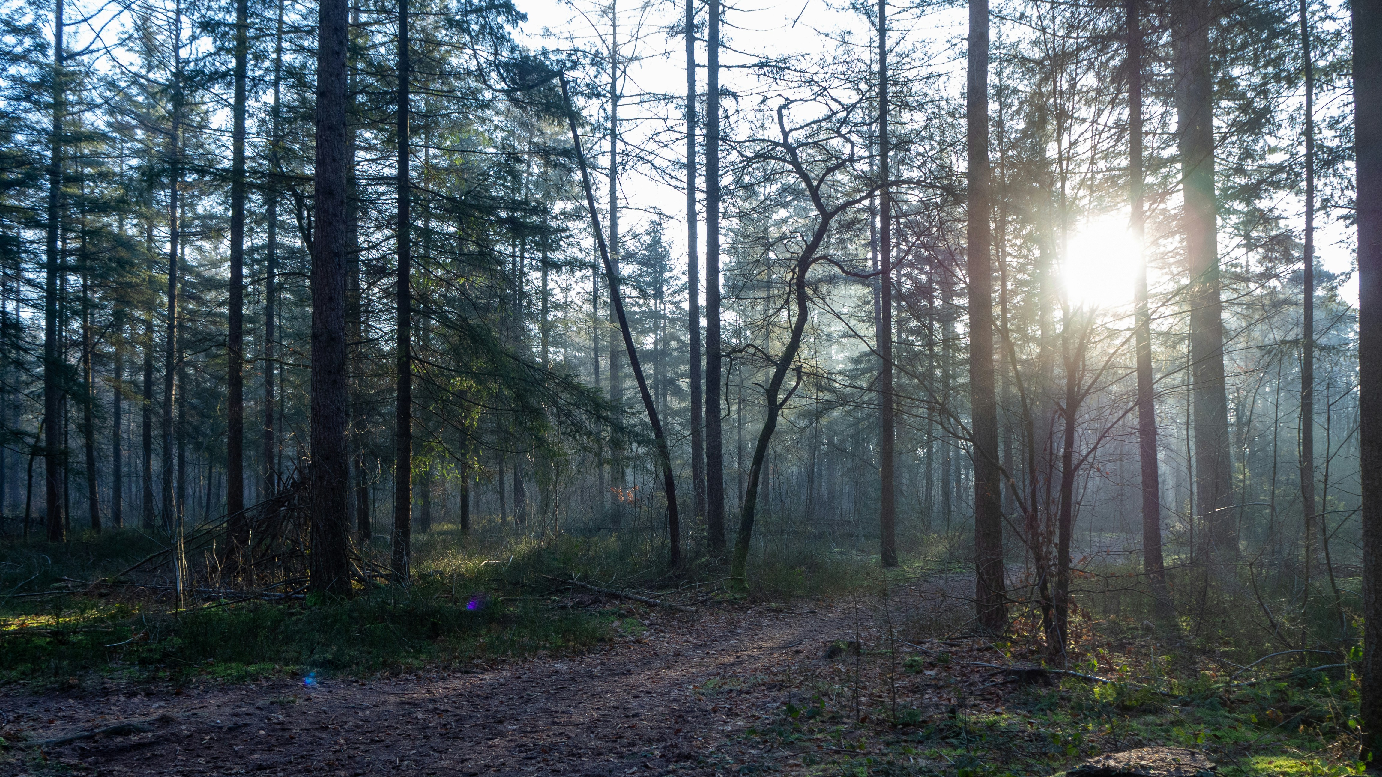 Photo by wimvanteinde