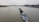 A large cargo ship is navigating a wide river, carrying a load of coal. In the background, a bridge spans across the river, with a cityscape lining the right bank. The sky is overcast, hinting at a gloomy atmosphere.