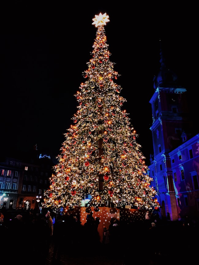 people walking on street near christmas tree with string lights during night time