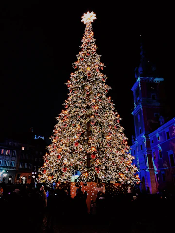 people walking on street near christmas tree with string lights during night time