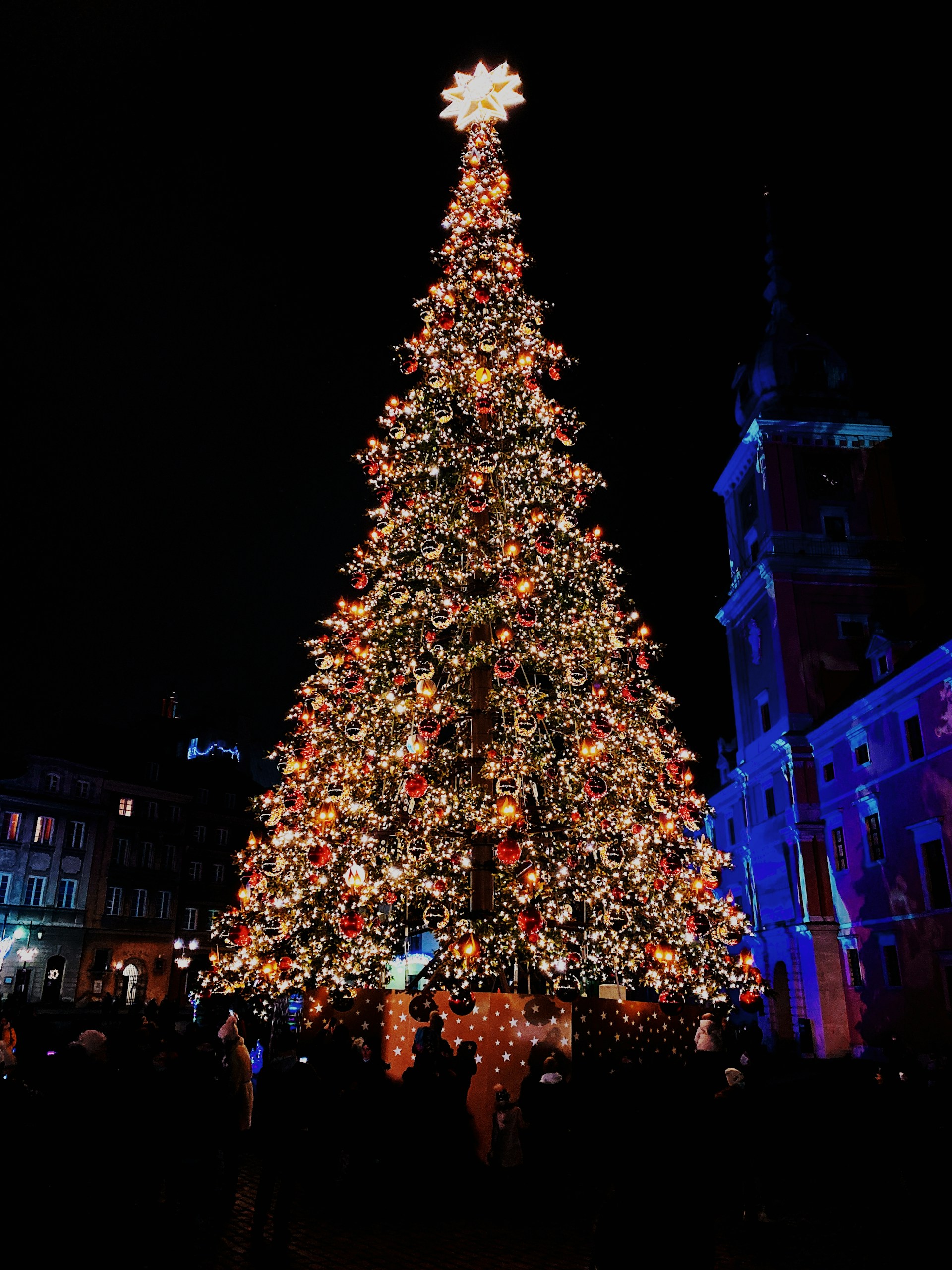 people walking on street near christmas tree with string lights during night time