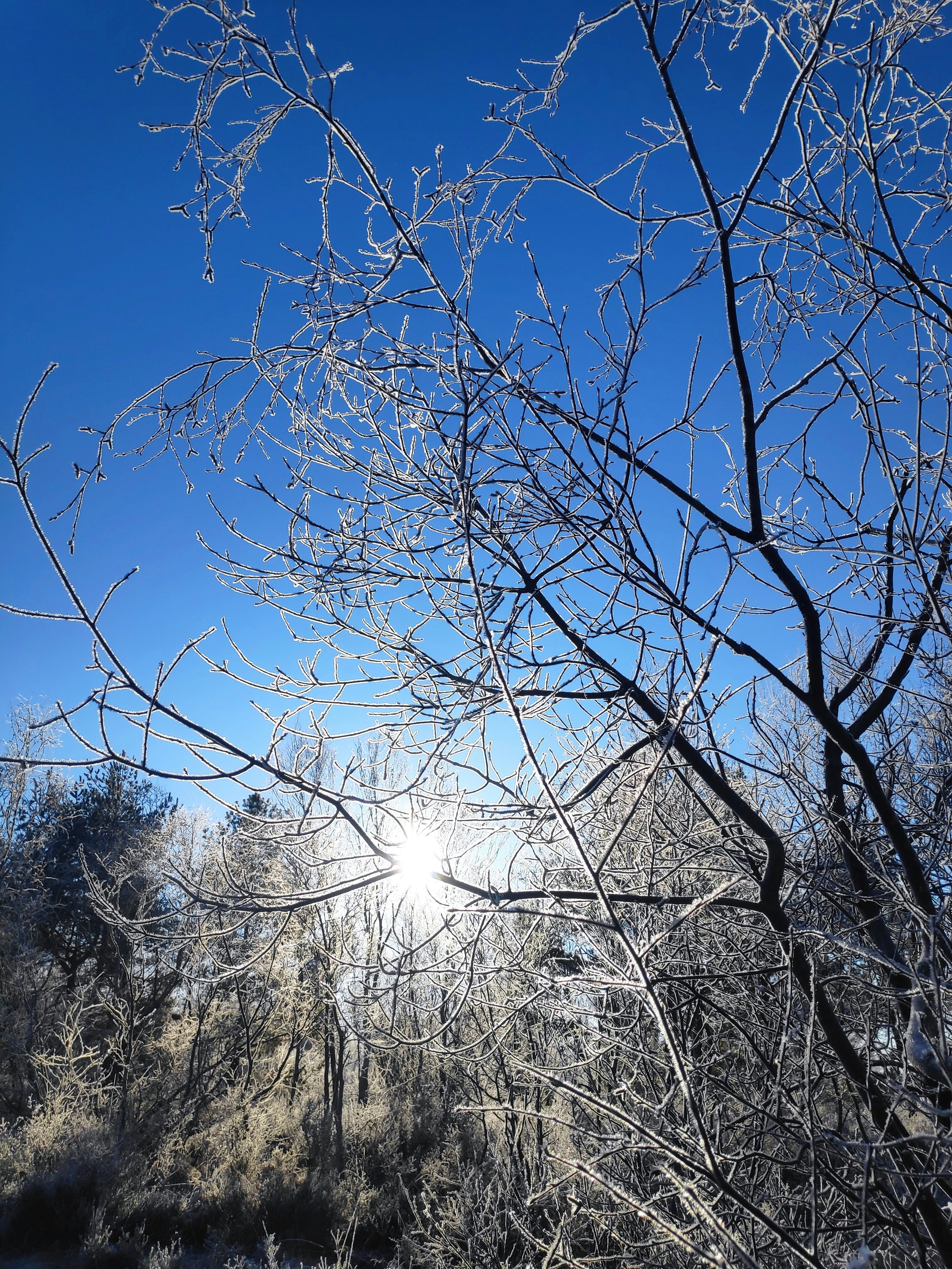 Photo by yulia_gadalina