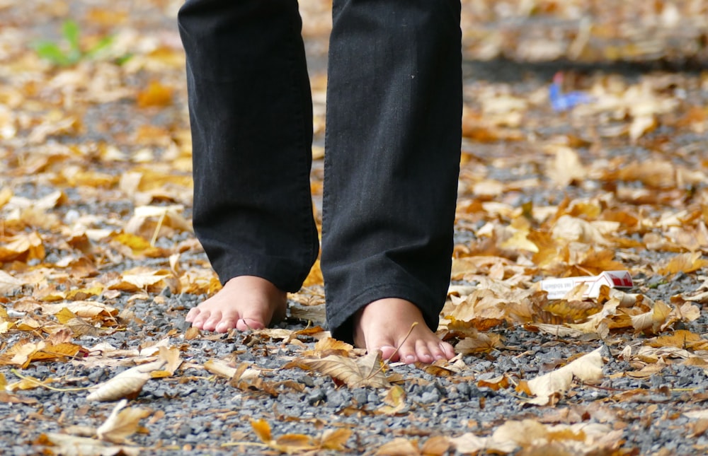person in black pants standing on dried leaves