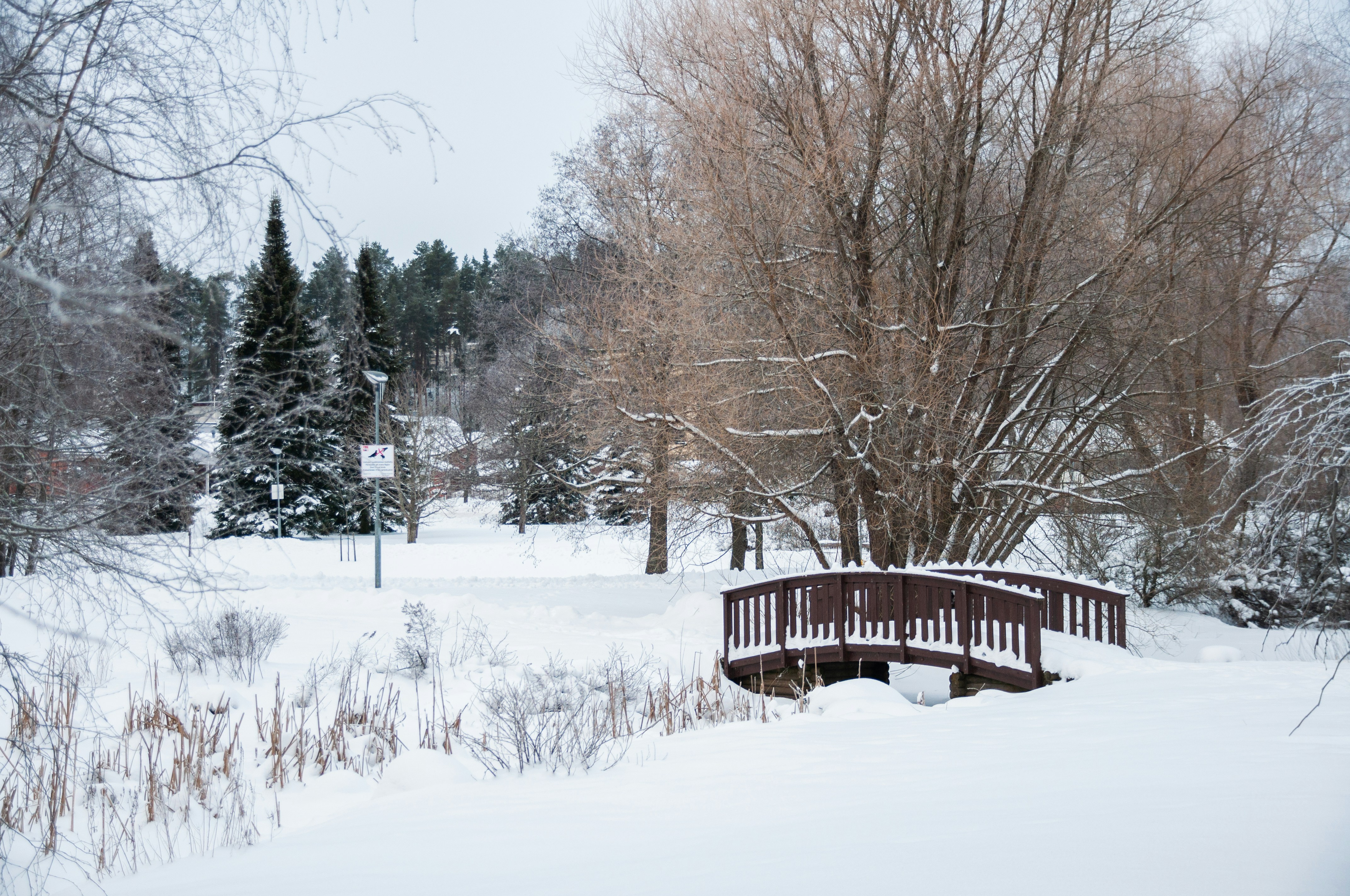 brown wooden bridge over snow covered ground
