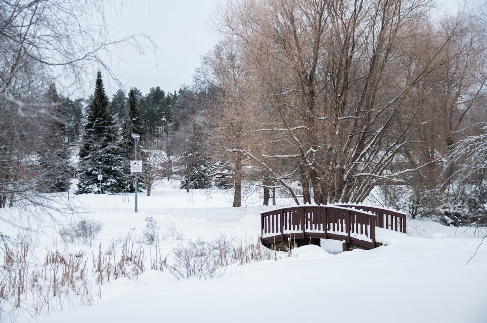 brown wooden bridge over snow covered ground