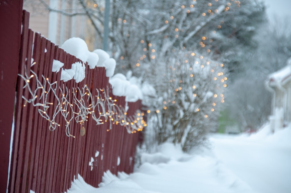 brown wooden fence covered with snow