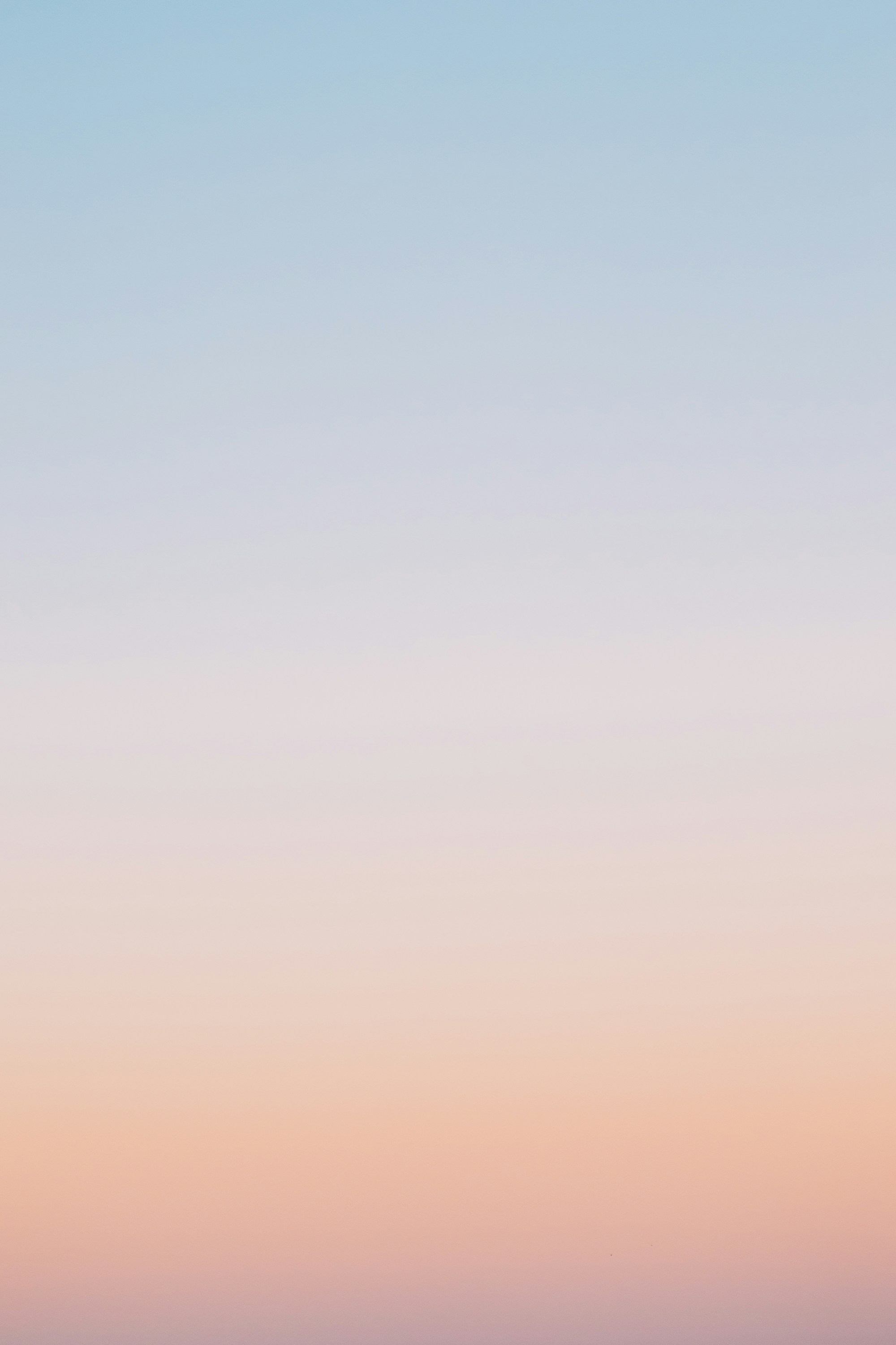 Liquidation Cascade Front-Running