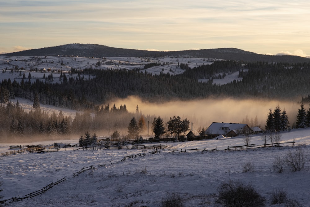 snow covered field and trees during daytime