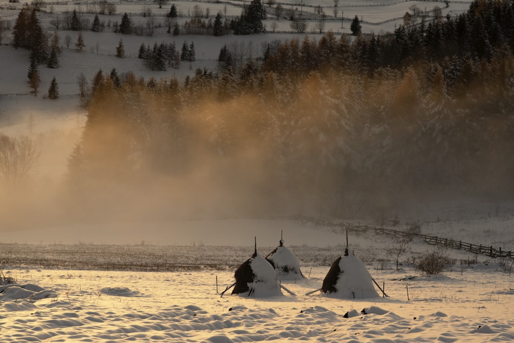 white and black house on white snow covered ground during daytime