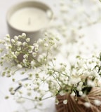 white flowers with green leaves