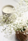 white flowers with green leaves