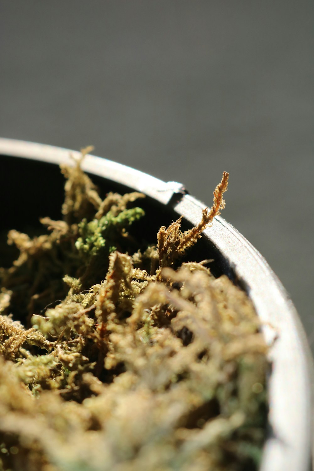 green kush on white ceramic bowl