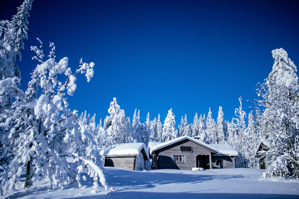 white and brown wooden house covered with snow during daytime