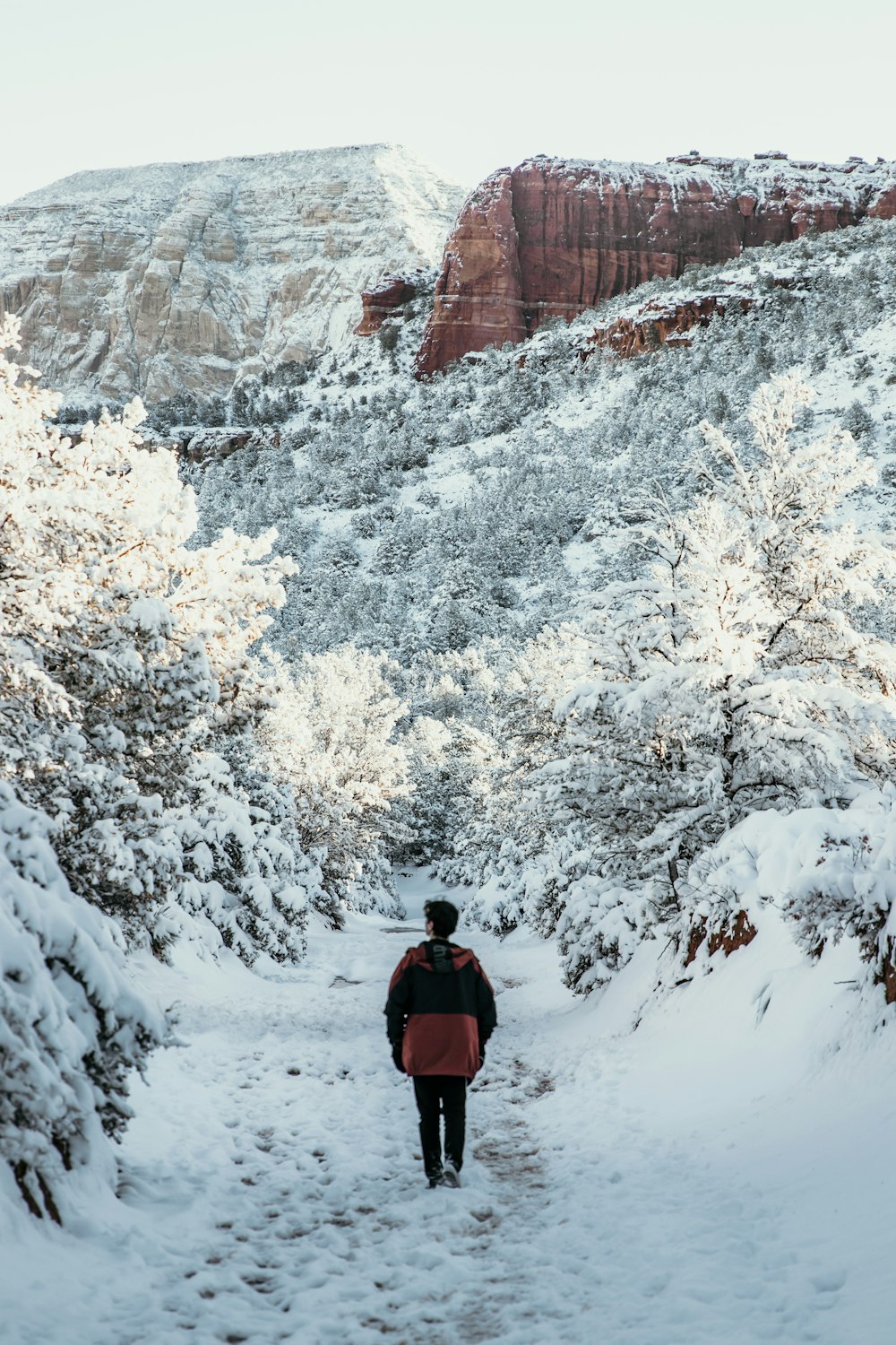 person in black jacket and black pants standing on snow covered ground