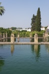 green trees beside body of water during daytime