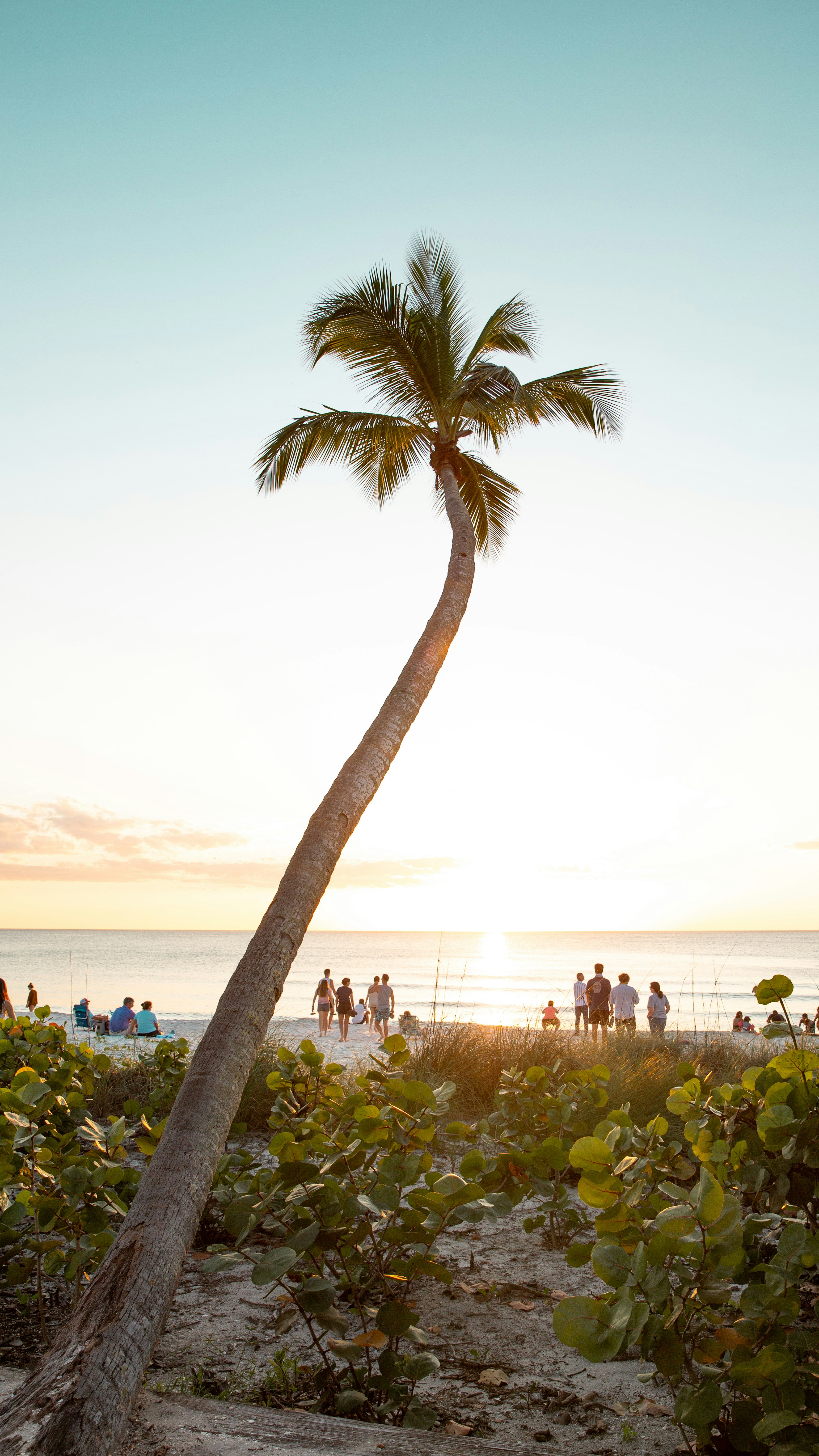 Photo by johnihreniuc