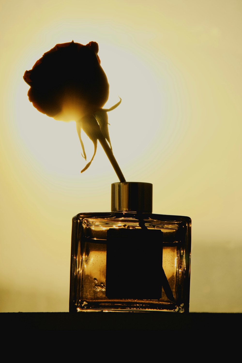 yellow flower in glass bottle