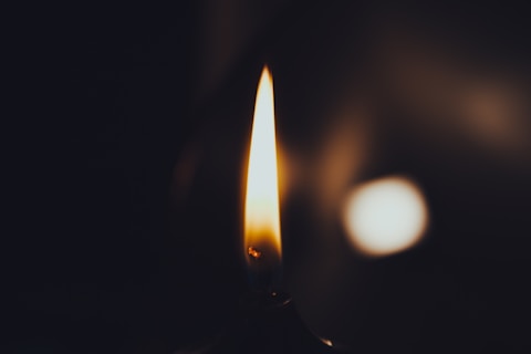 diferencas entre sepultamento e cremação site para funerarias 