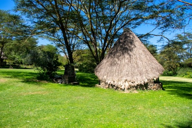A thatched roof hut is situated in a lush green area surrounded by tall trees. The grass is vibrant and well-maintained, indicating a peaceful, natural setting. Sunlight filters through the branches, creating a pattern of light and shadow on the ground.